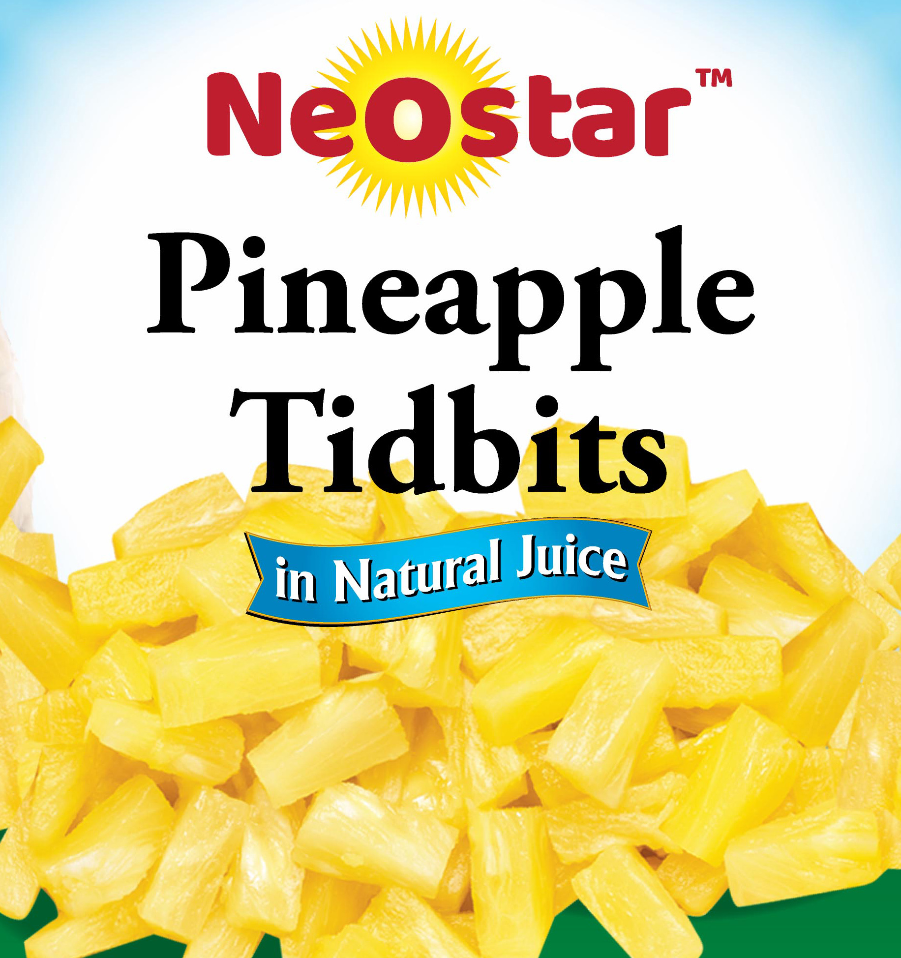 #2 (20oz) Pineapple Tidbits, Natural Juice
